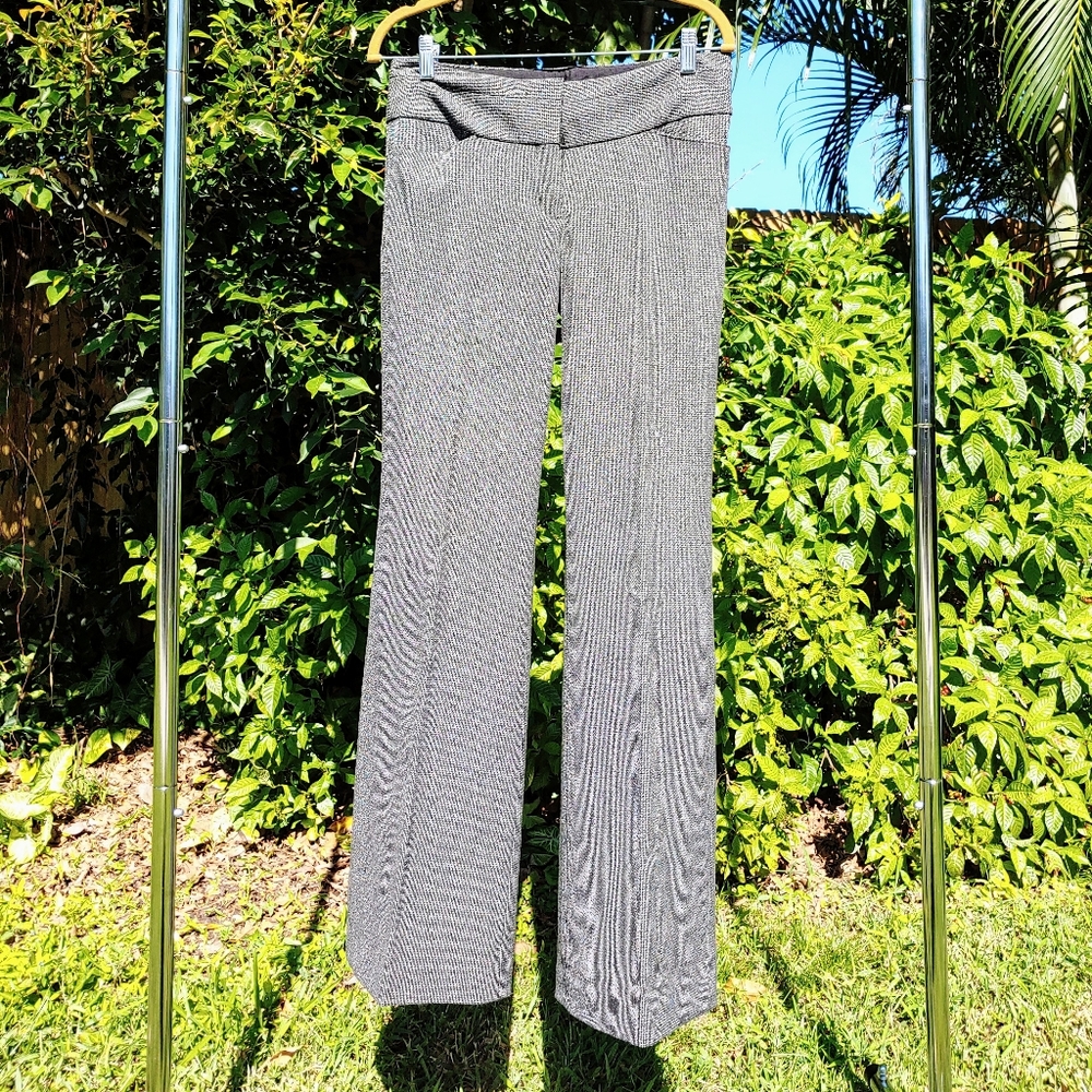 Express Editor pant